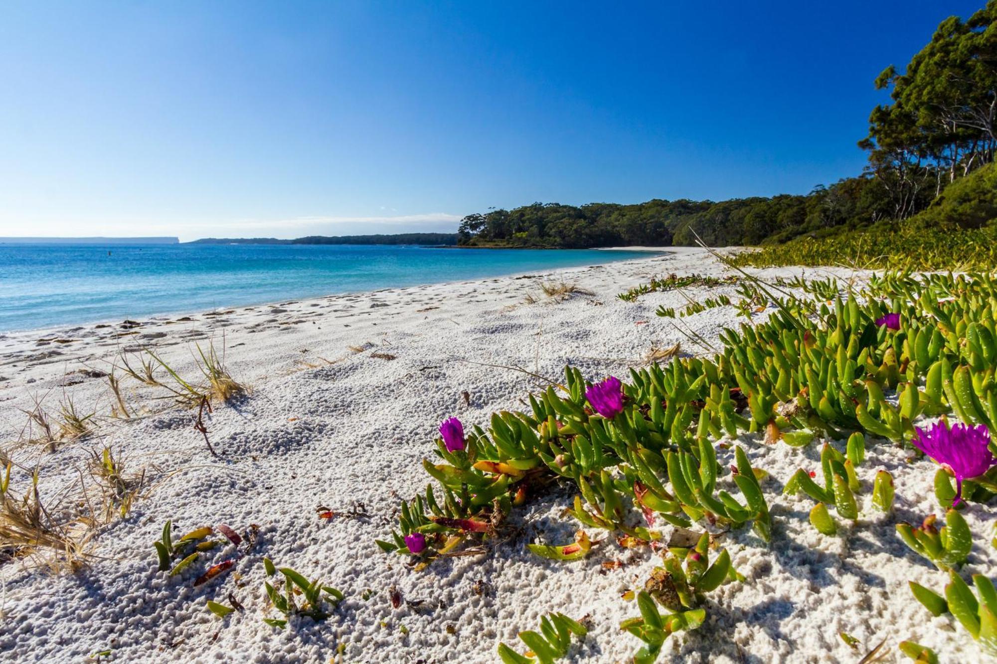 Вілла Bay And Bush Jervis Bay Гаскіссон Екстер'єр фото