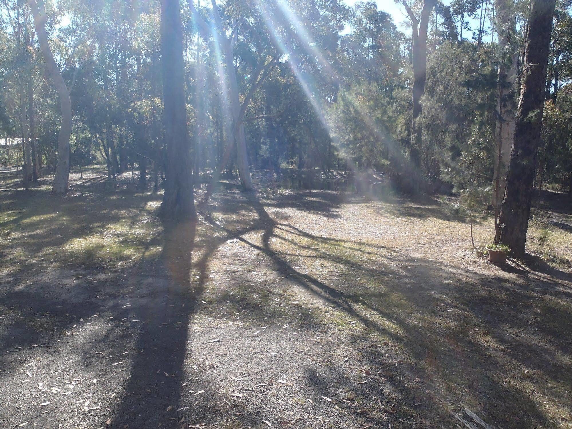 Вілла Bay And Bush Jervis Bay Гаскіссон Екстер'єр фото